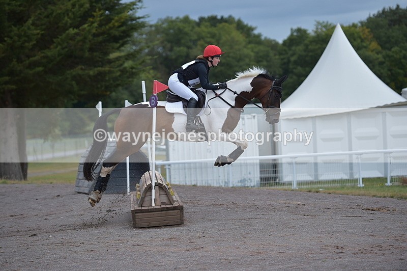 NGP_2140 - XC Time 11:20 to 11:36