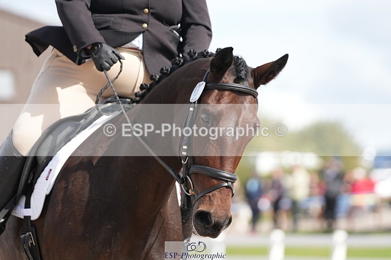 250906-122513-02177 - 013-Mairead.DolanBelperhill.Aint.She.Sweet