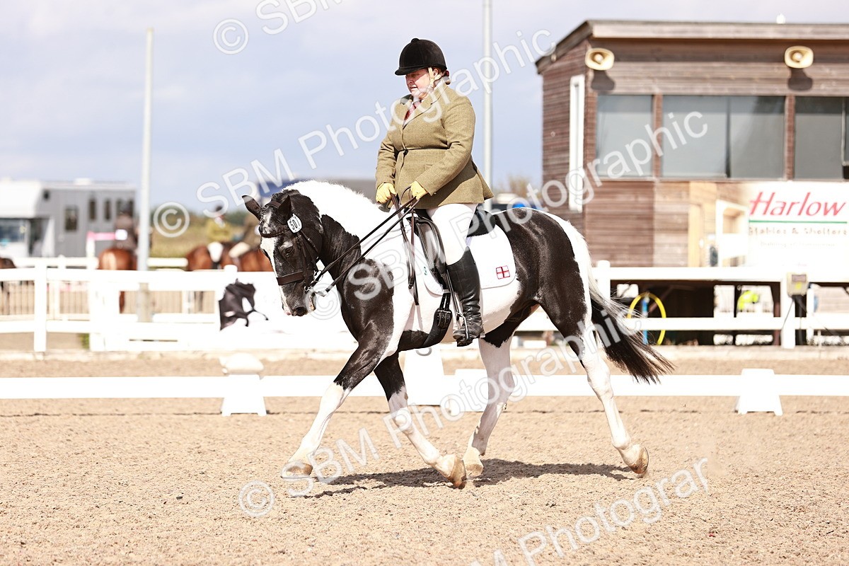 SBM_06603 - Class 39 - Medium 3