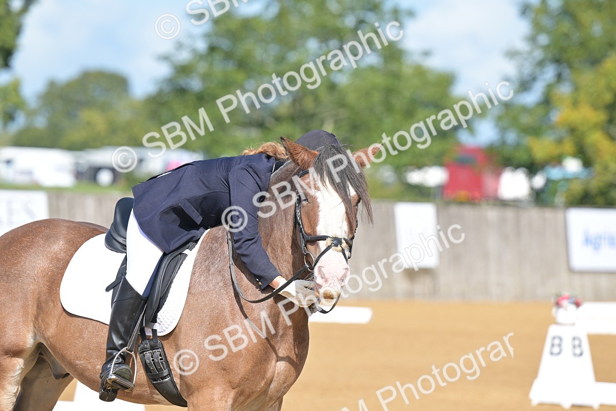 SBM_03917 - D2 - Small Tour Championship Intro 2