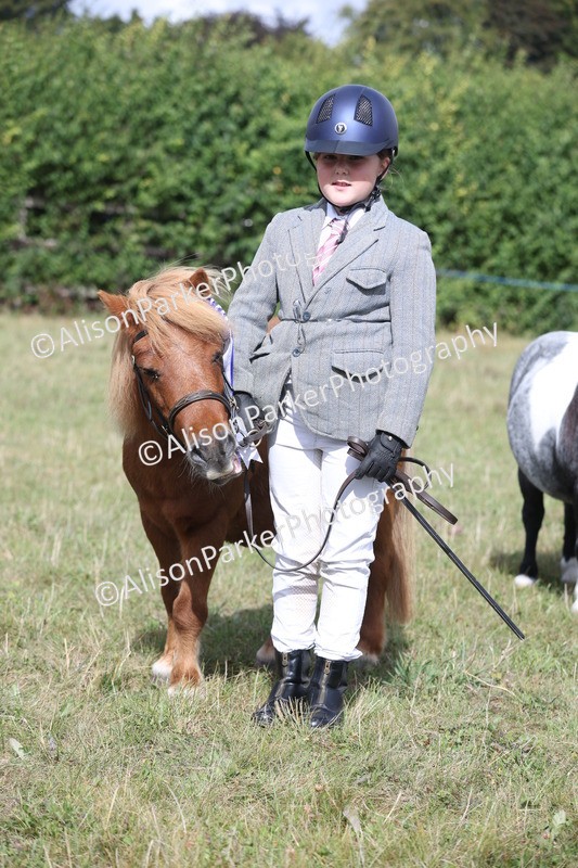 20250831-1718 - Previous show - Lambourn 2025