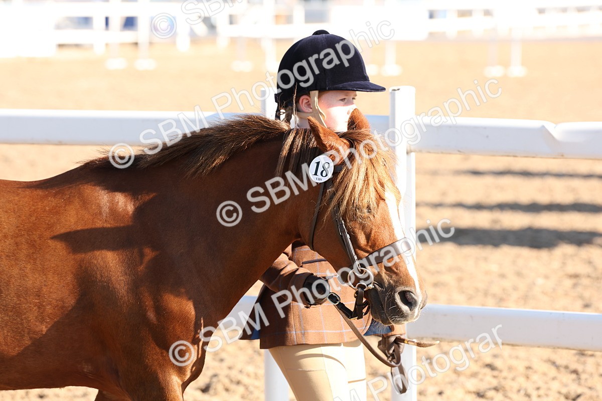 SBM_11619 - Class 203 - Young Handler 11 to 16 years
