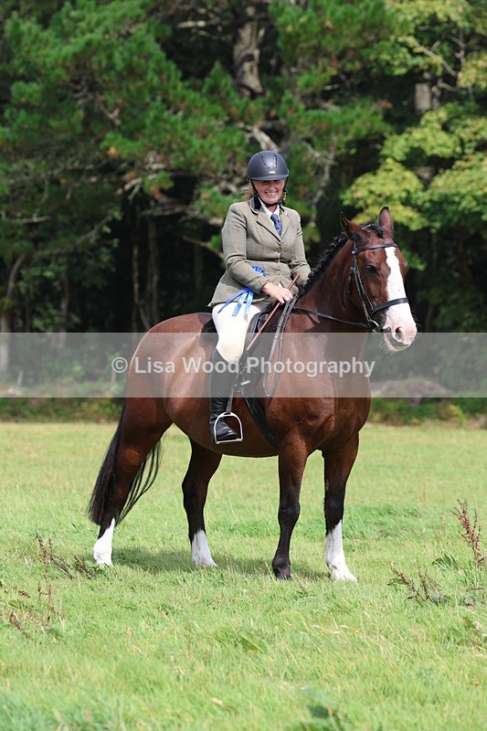 3E7A5934 - Class 26 and 27: 70cm Working Hunter