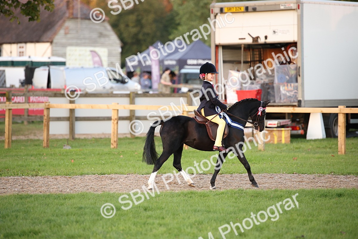 SBM_57107 - Super Supreme Championship