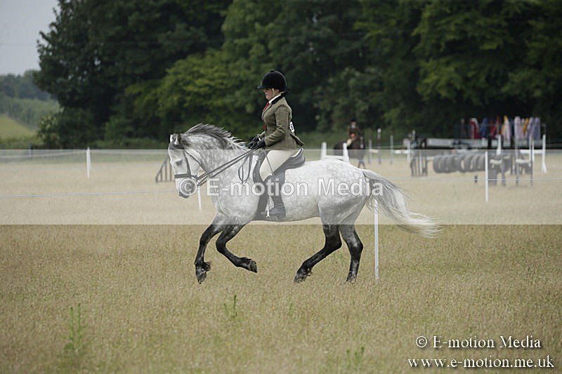B230619-0940 - Bourne Valley Riding Club Summer Show 23/06/19