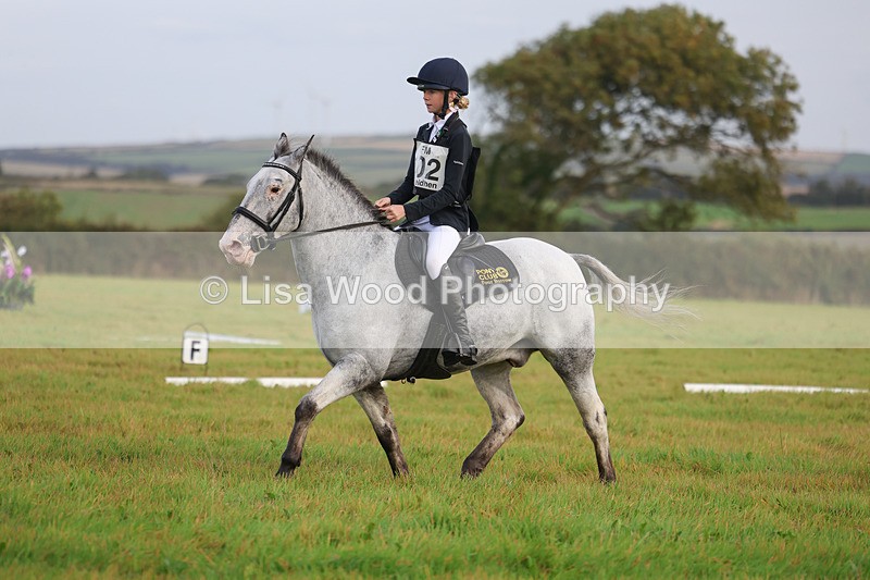 3E7A5147 - Class 1: Trebudannon Open: Dressage