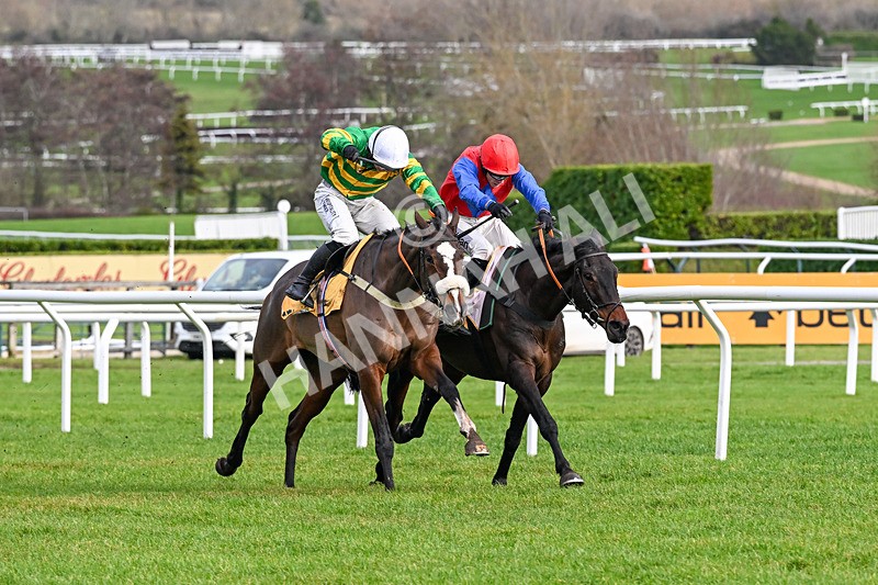 240126-Race 3-Donnacha-6403 - Race 3
