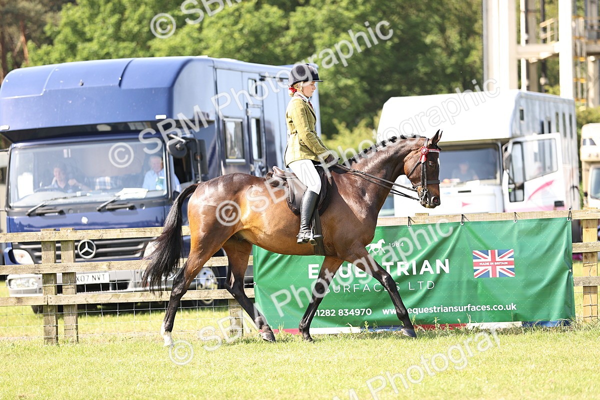SBM_12963 - Class 75-76 LIHS BSHA Rising Star Hack Riding Horse