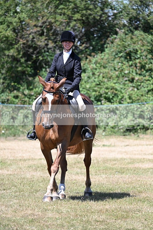 WJ7_2989 - Class 7 Riding Club Show Horse