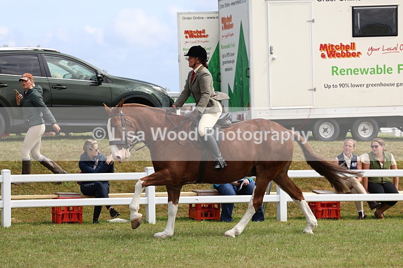 3E7A0215 - Class 6: Rising Star Maxi Cobs