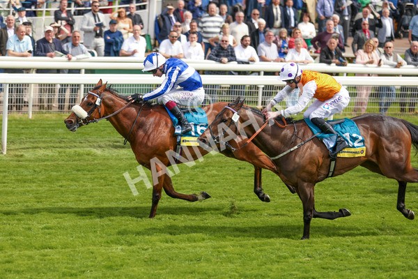 170523-Race 2-Bielsa-6860 - Race 2 2.25pm Churchill Tyres Handicap
