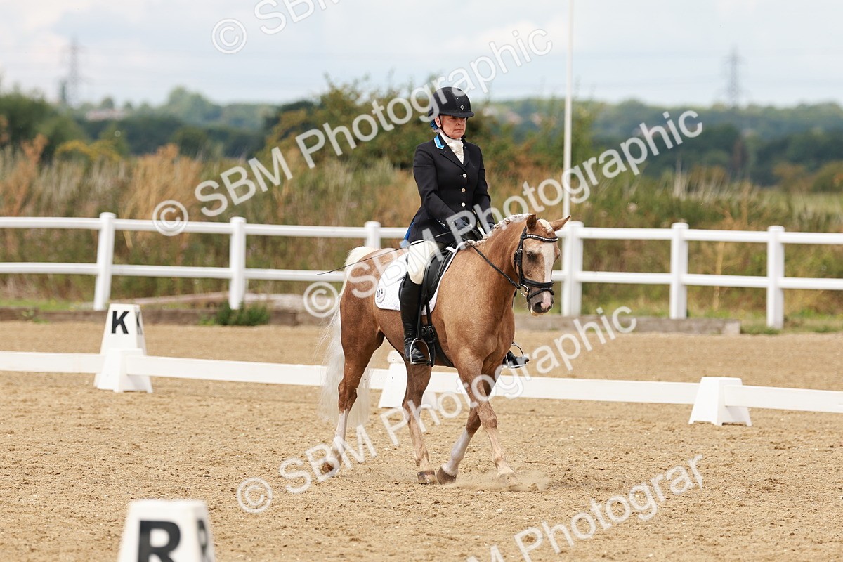 SBM_001536 - Class 4 - Novice 5