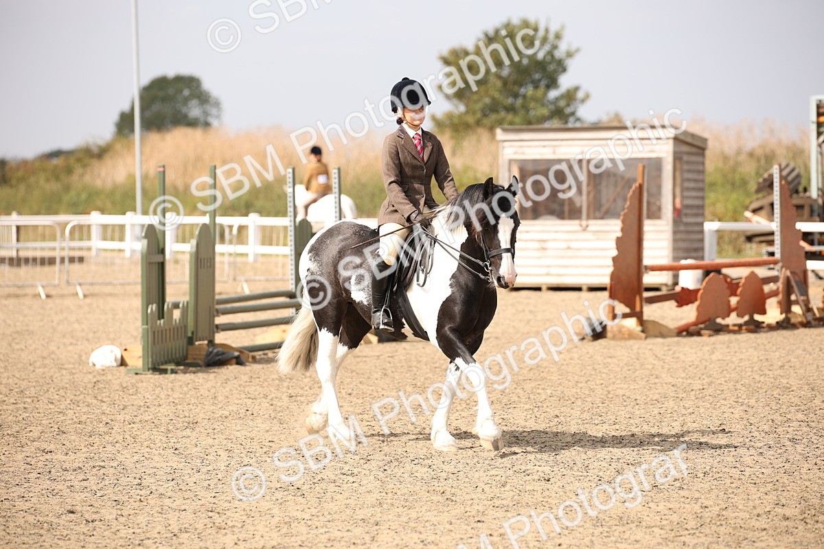 SBM_14972 - Class 408a - Working Veteran 70cm (15-19