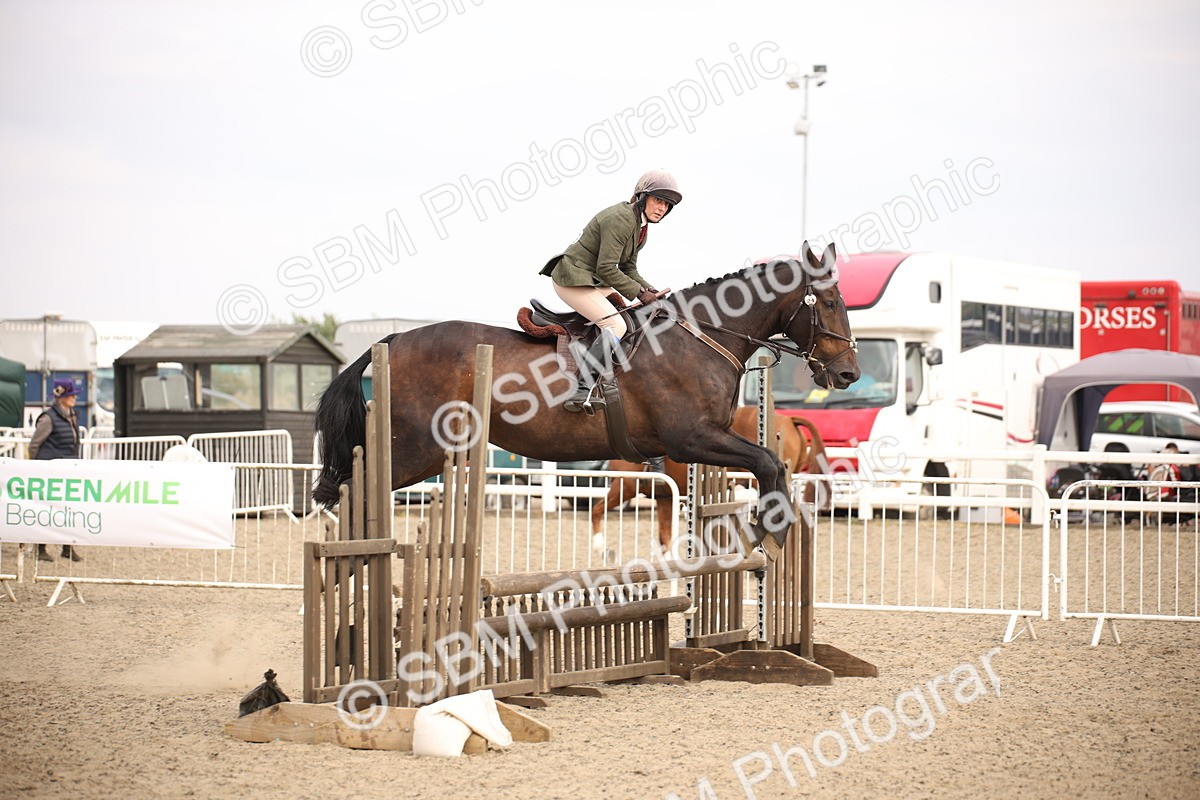 SBM_17098 - Class 409b - Working Veteran 80cm (20+)