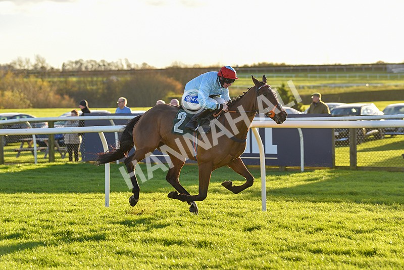 241123-Race 5-Bugise Seagull-7540 - Race 5