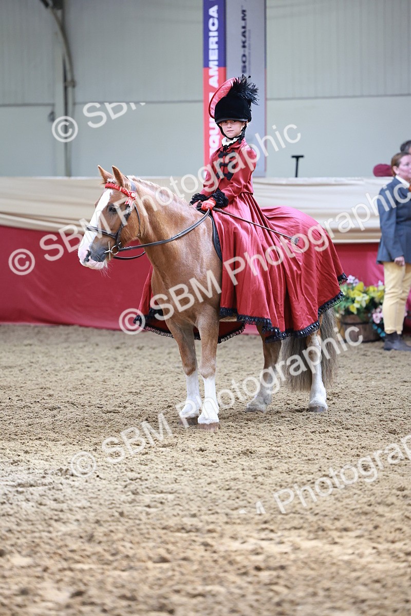 SBM_13482 - Class 104 - Ridden Costume - Astride Junior