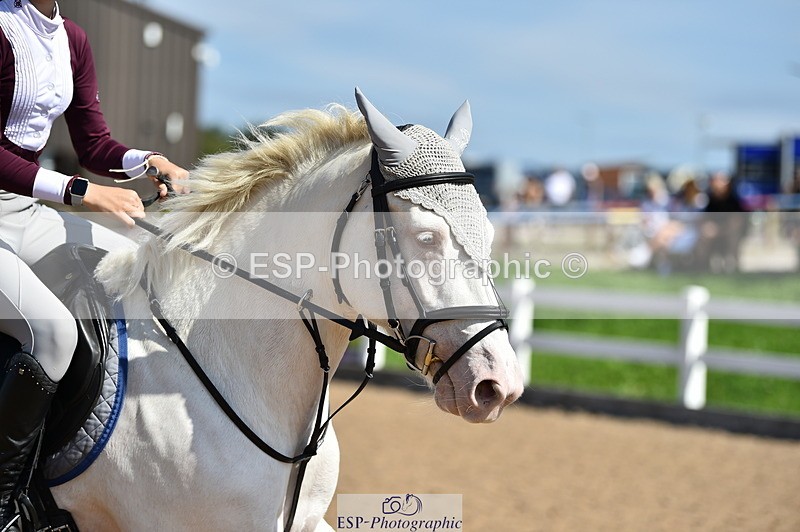 230903A-122516-04463 - Cls 19 Pony Discovery & 90cm Open