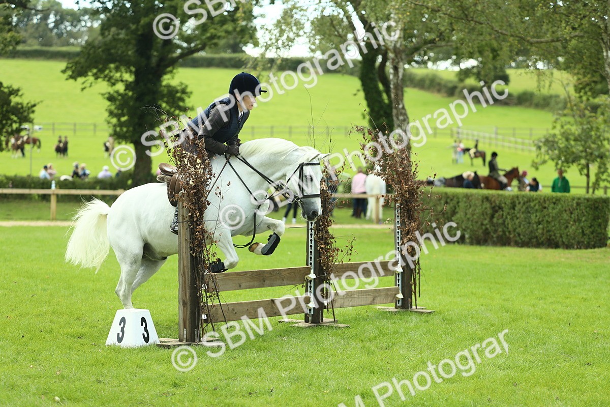 SBM_42797 - S30 - M&M Working hunter Pony
