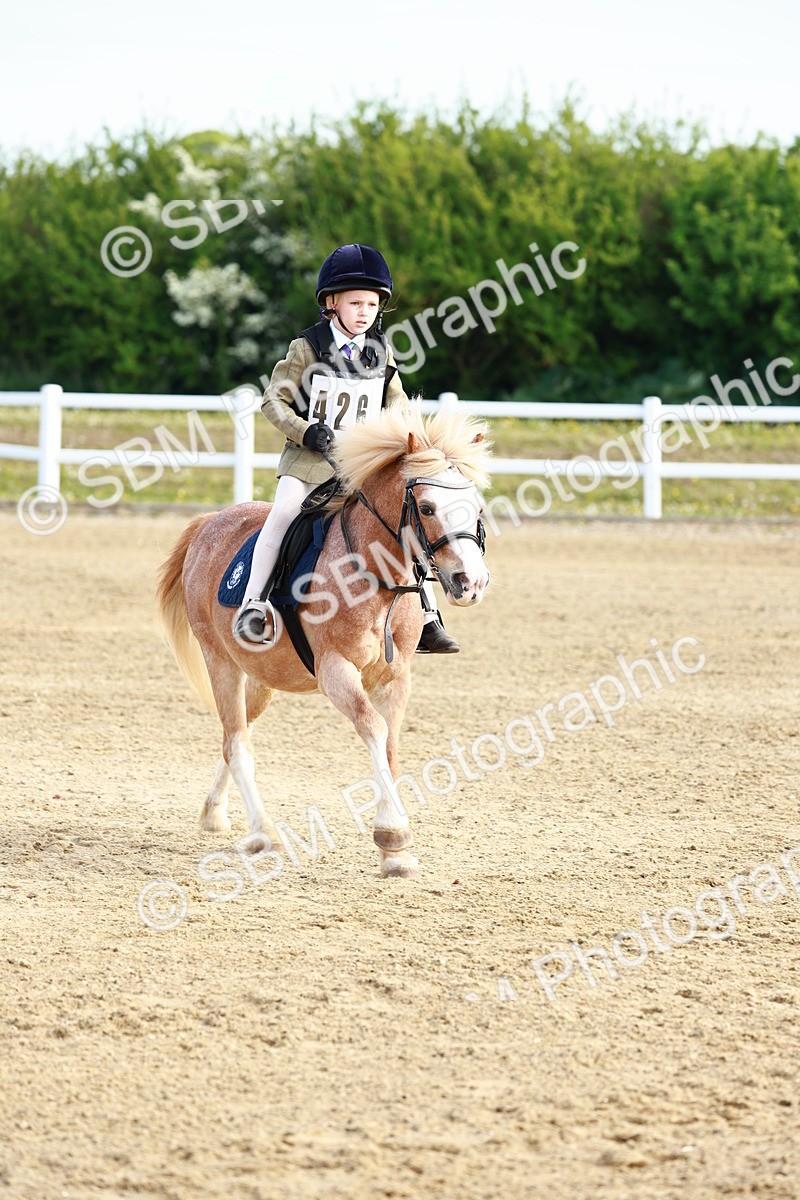 SBM_006365 - Class 1 - 40cm