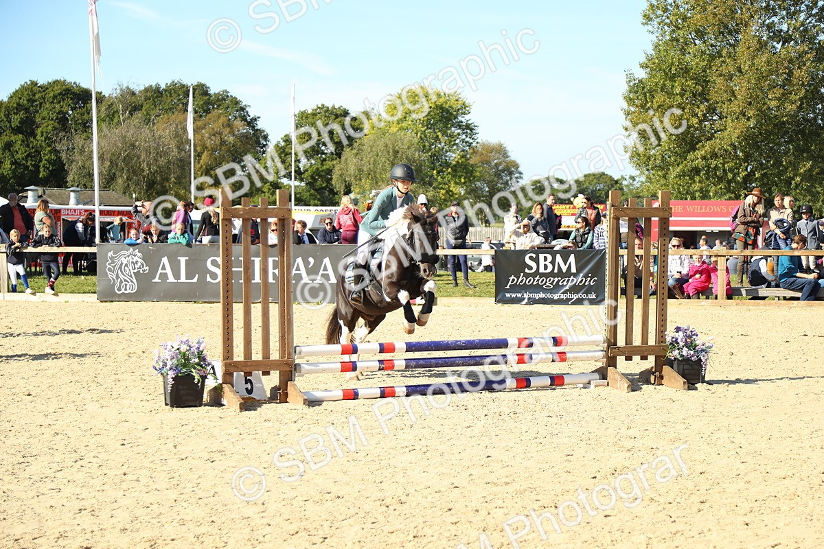 SBM_36013 - J5 - Junior Pony 50cm Championship