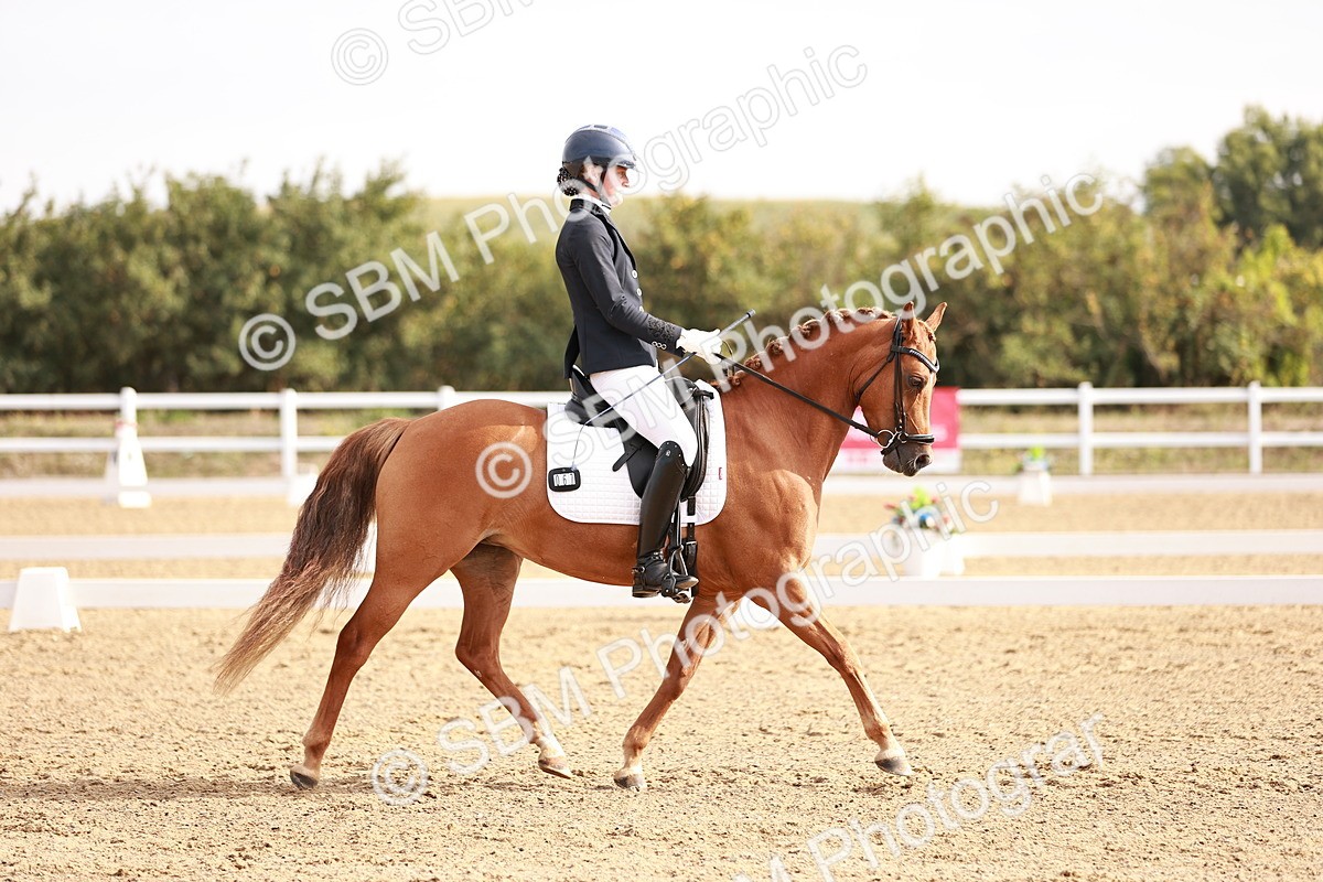 SBM_016901 - Class 10 - Medium 6