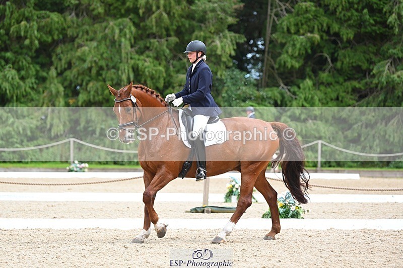 230813-135859-07657 - Cls 13 Medium Bronze 13.15 to End