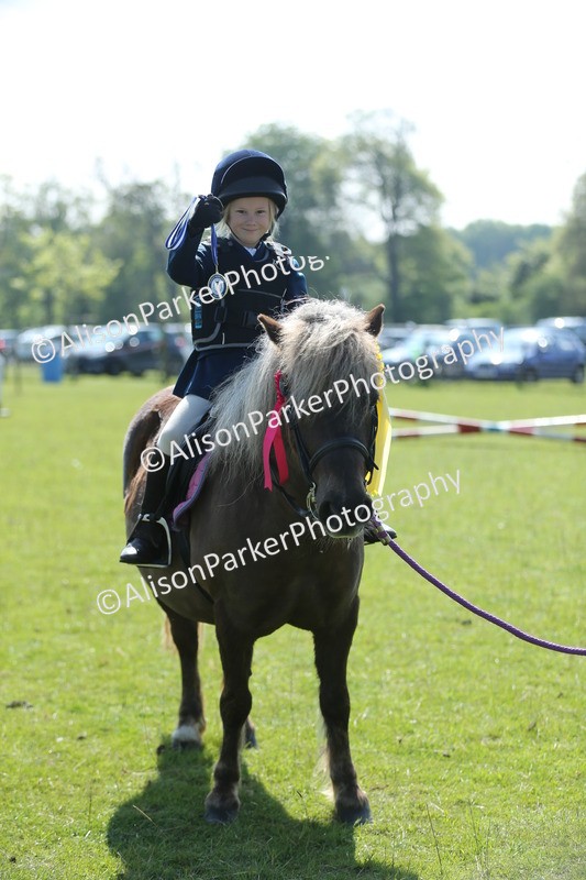 20250427-1182 - Class 1 - Mini Jumping Lead Rein or Assisted