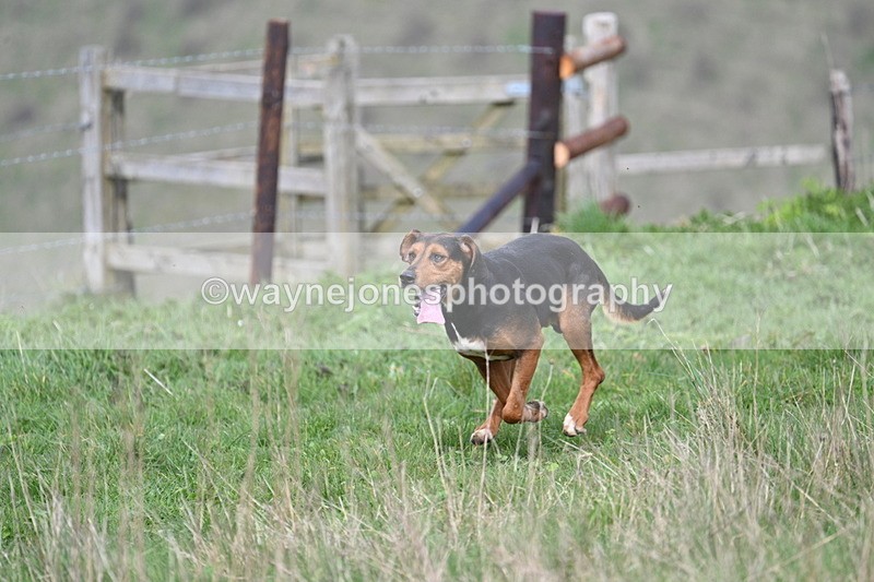 WJ7_8041 - Line 2 A camera