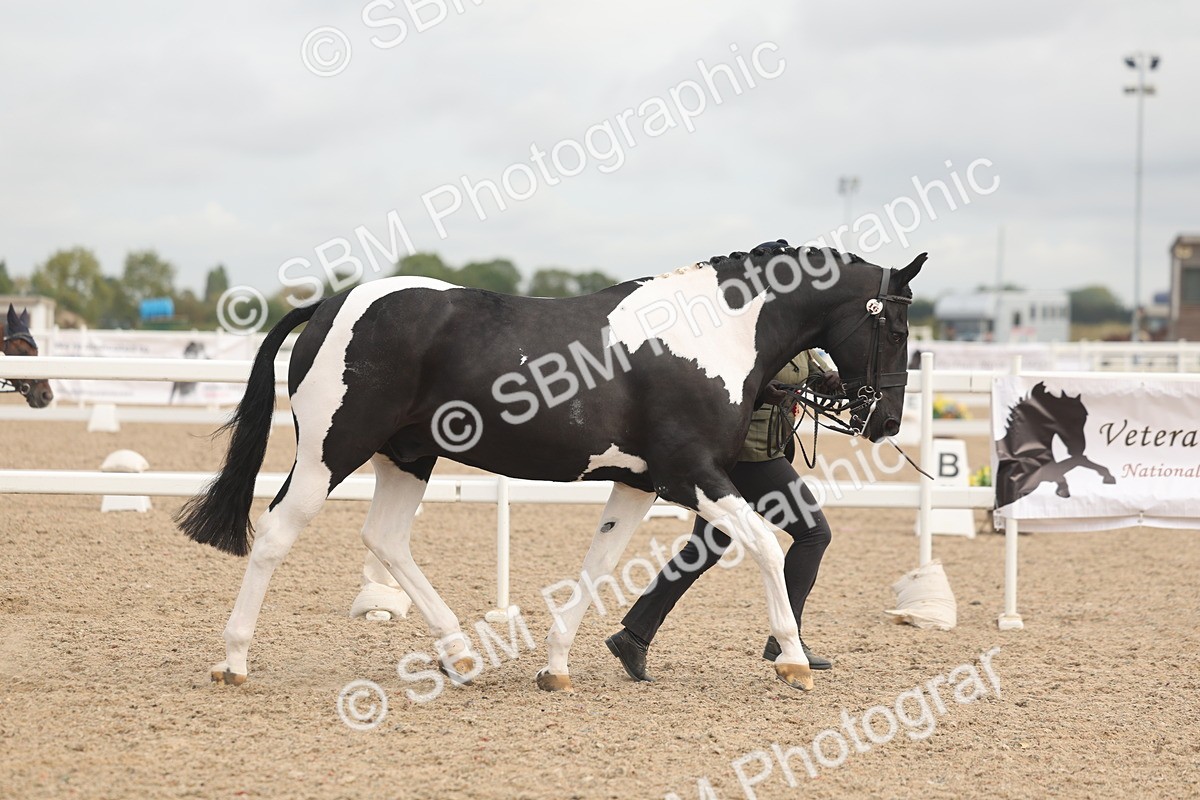 SBM_02150 - Class 15 - IH Coloured