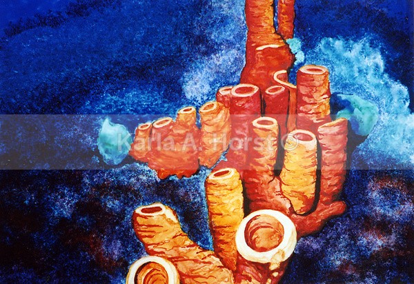 Sponges (Grand Cayman) - Original Art