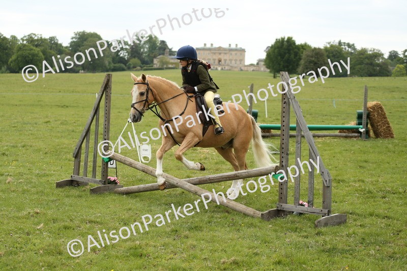 20250517-1124 - Class 21 - Novice Working Hunter