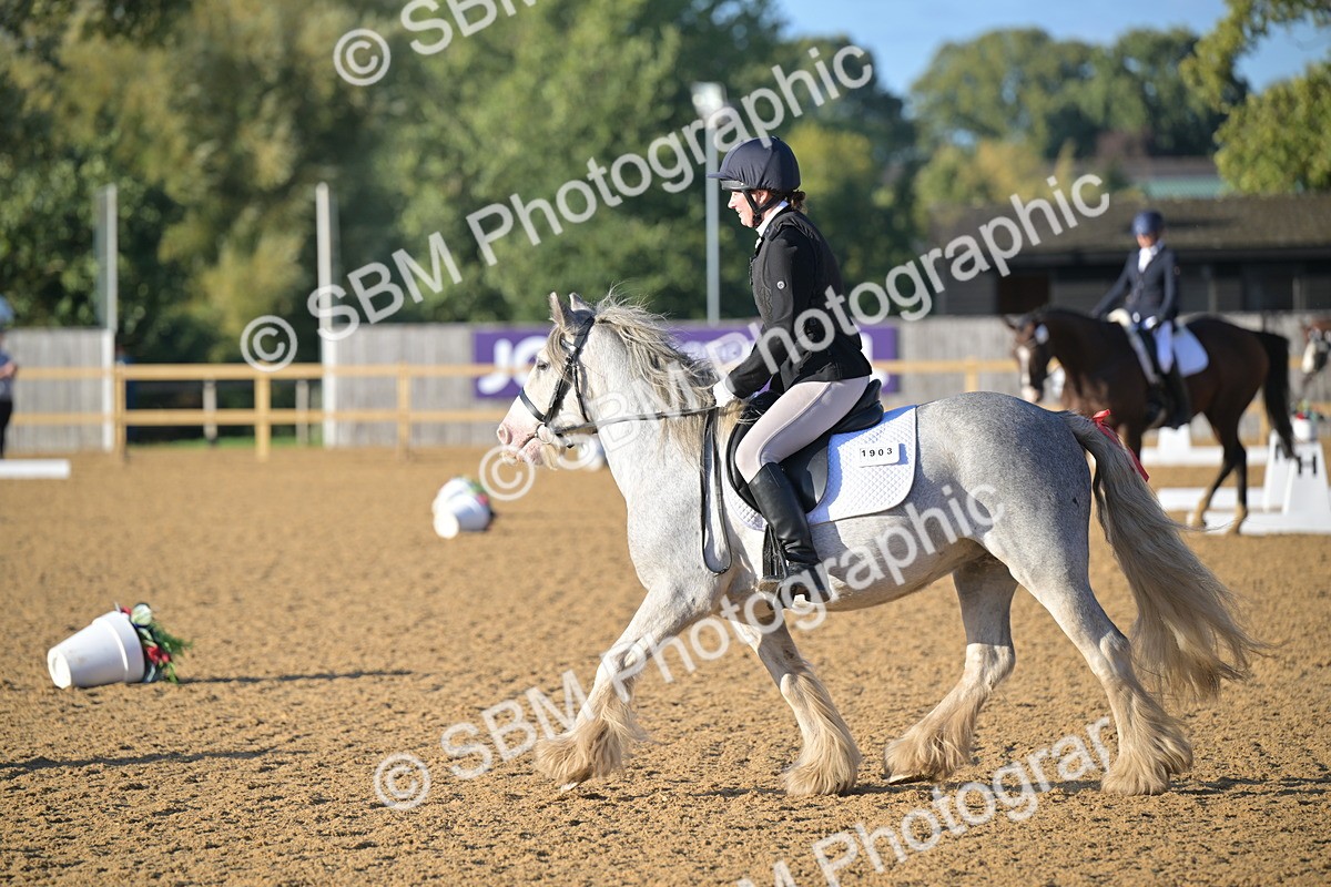 SBM_13140 - D3 - Small Tour Championship Intro 3