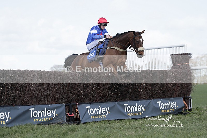 PtP 100423 764 - Old Berkshire Point-to-Point Lockinge 10/04/23