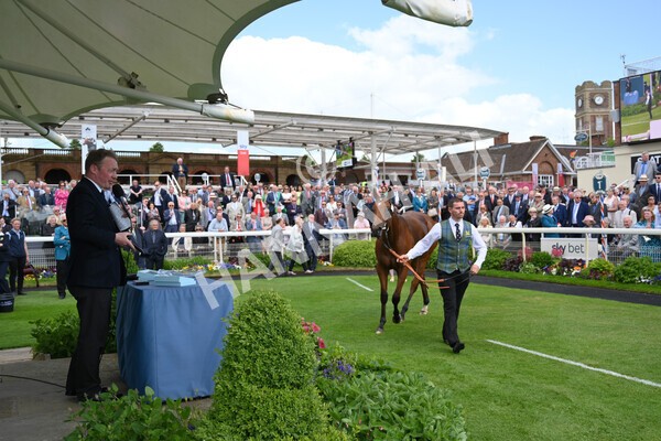 yr10062022r2-56 - Race 2 2.30pm SKF Rous Selling Stakes