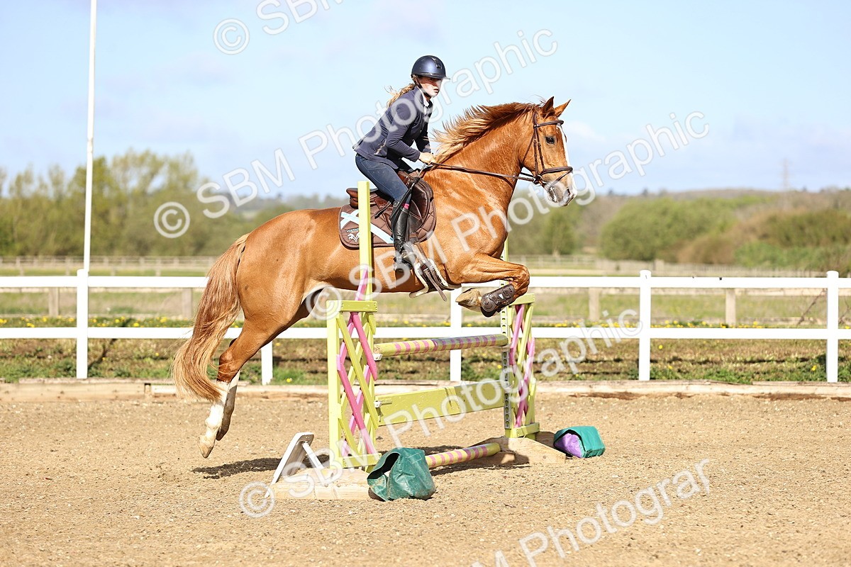SBM_002989 - Class 15 - Senior British Novice - 90cm