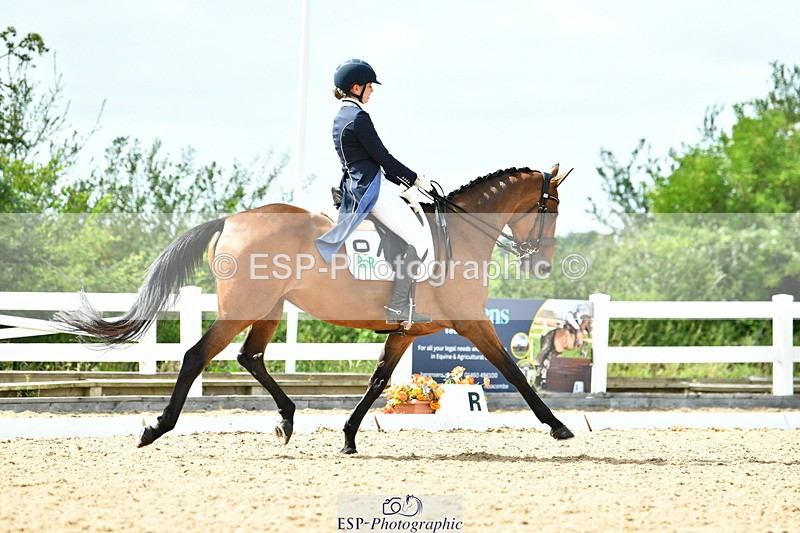 230702A-160621-11098 - Cls 37 + 42 FEI PSG + GP