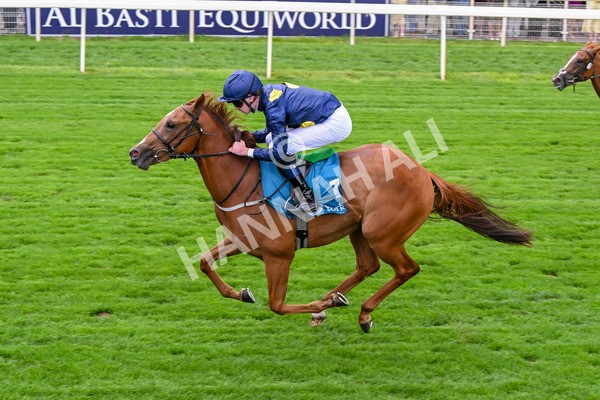 260725-Race 1-Golden Palace-7116 - Race 1 1.25pm £100K ITV7 Jackpot Today EBF Fillies' Novice Stakes