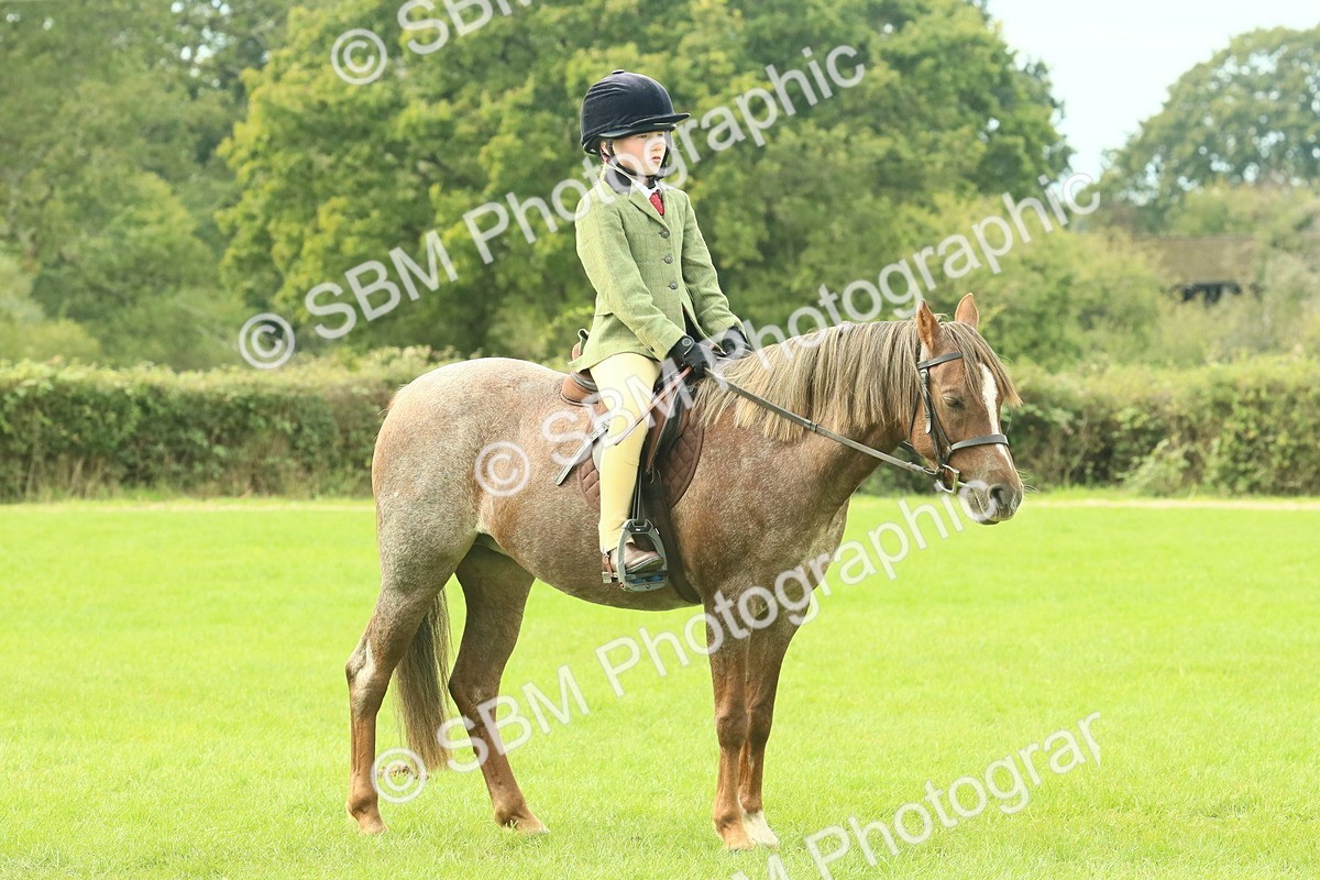 SBM_69901 - S59 - Mountain & Moorland Ridden Small Breeds