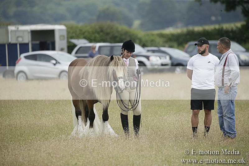 B230619-0694 - Bourne Valley Riding Club Summer Show 23/06/19
