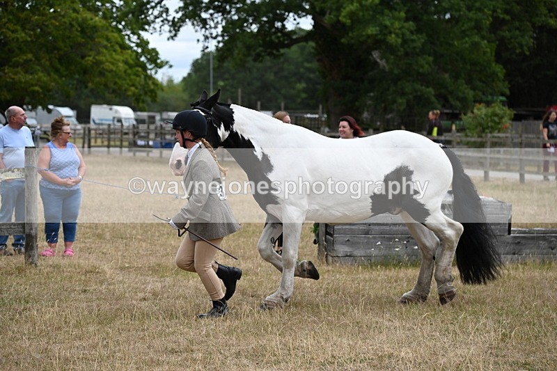 WJ6_8380 - Class 10 Coloured in Hand