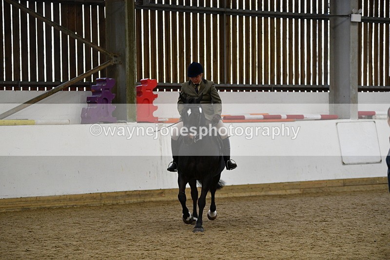 WJ5_6094 - Class 9 Ridden Veteran