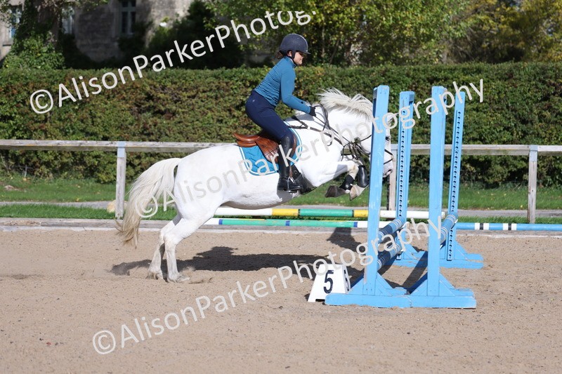 20251005-0327 - Class 3 - 60cm