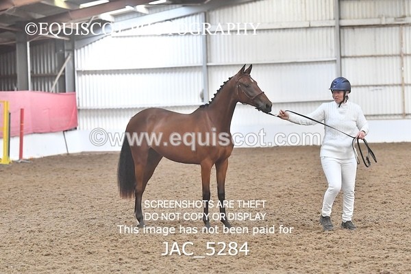 JAC_5284 - 7 L'Espirits Little Unicorn