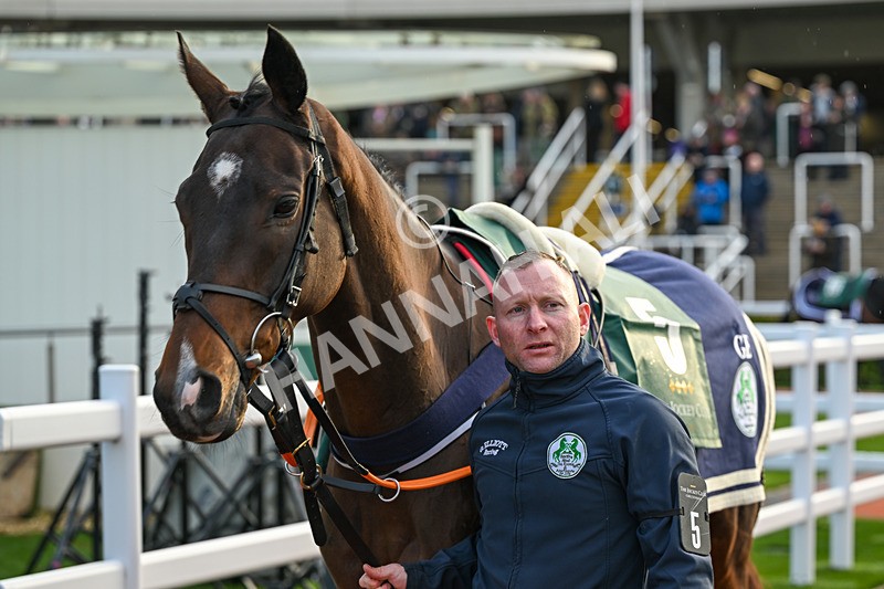 241025-Race 7-Beaufort Scale-5192 - Race 7