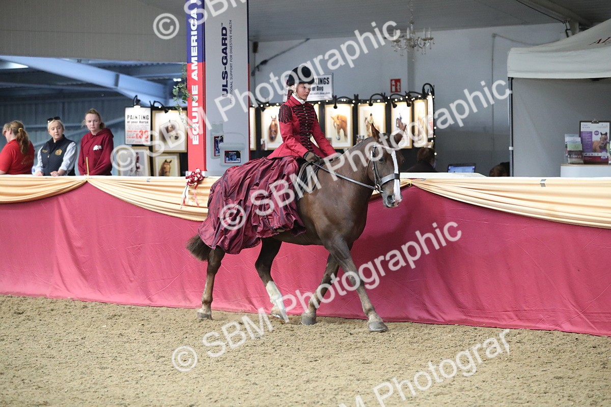 SBM_11231 - Class 104 Ridden Costume - Astride Junior