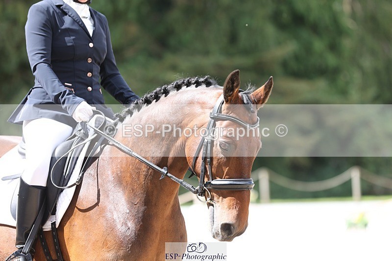 230813-112559-06841 - Cls 11 Elem Bronze 11.10 to 12.20 break