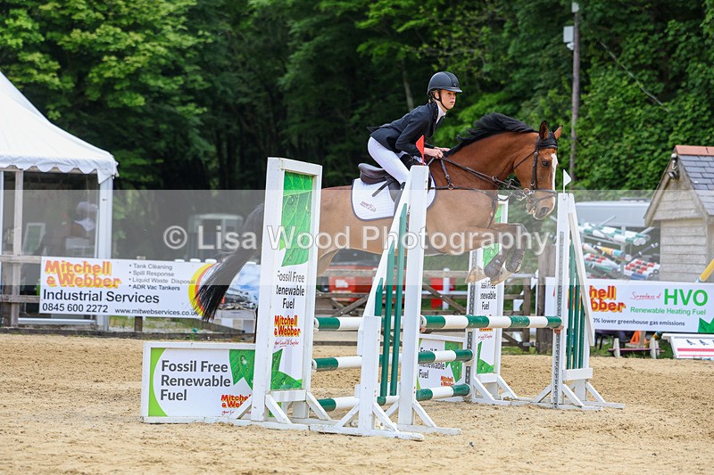 3E7A8549 - Class 4: Senior British Novice/90cm open