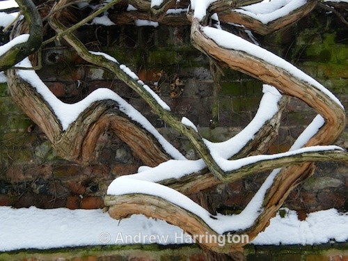 patterns - Photos 2