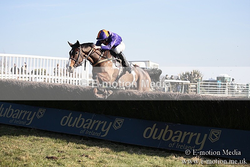 PtP 240218 388 - Vine & Craven Hunt Point-to-Point Barbury racecourse 24/02/18