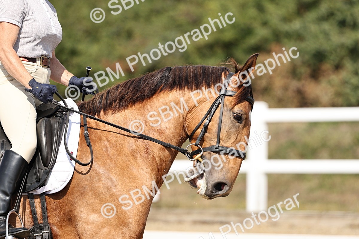 SBM_018634 - Class 16 - Novice 5 - 12.08-13.11